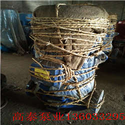 GRG50-200A熱水循環(huán)泵