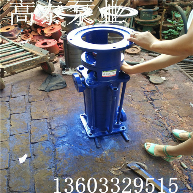 65LG36-20*4立式多級泵