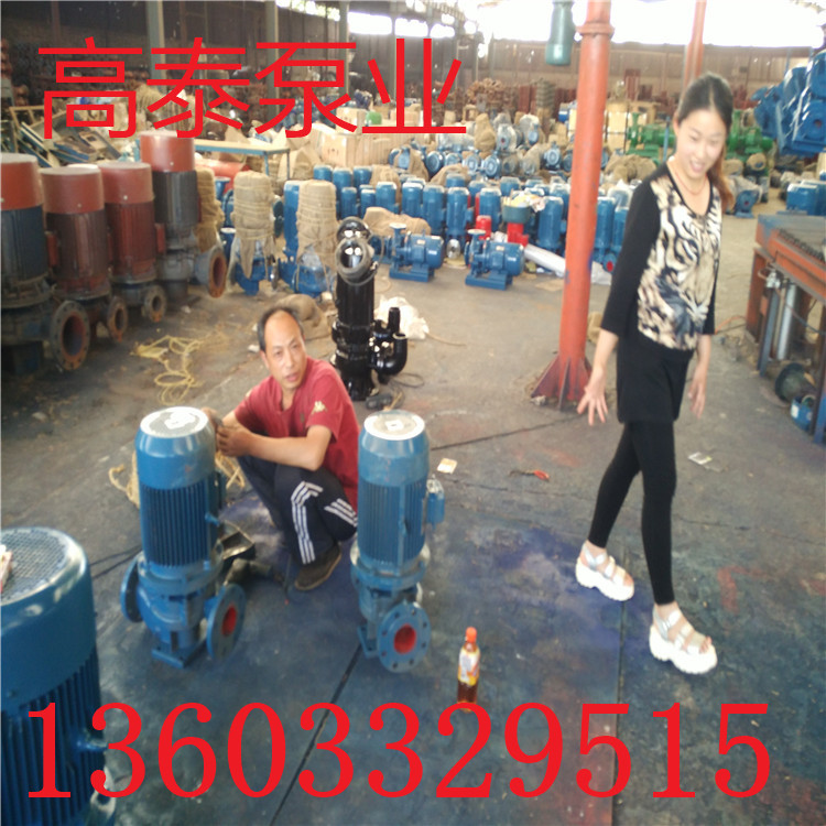 GRZ300-300A管道循環(huán)泵