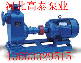 ZW25-8-15高壓力高揚程 自吸泵