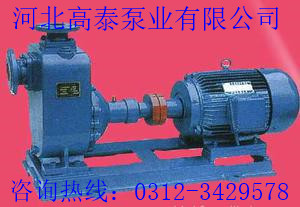 65ZX30-15新型高效 穩(wěn)定可靠 自吸泵