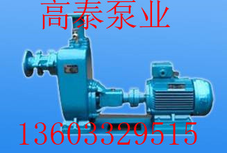 ZW50-15-30耐腐蝕自吸泵