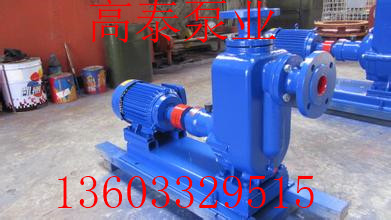 ZW32-10-20直連自吸清水泵