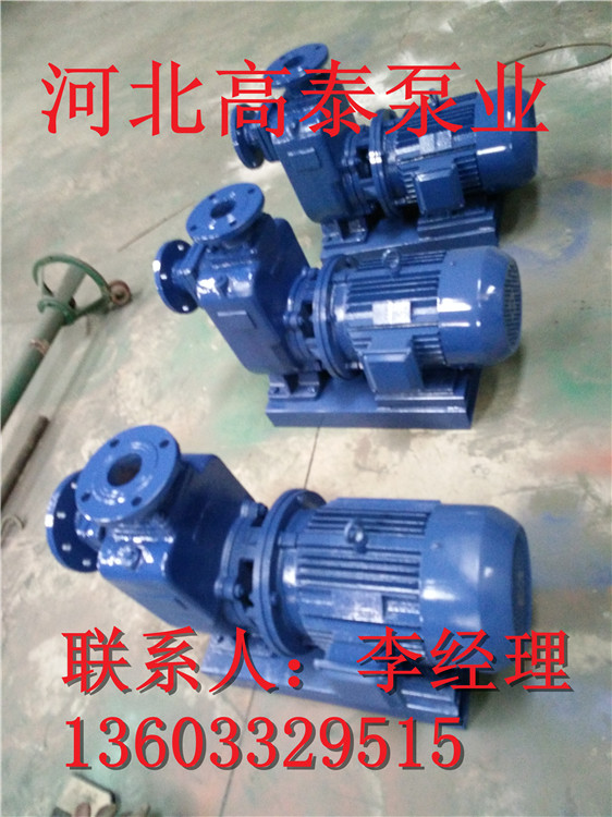 65ZW25-40自吸無堵塞排污泵