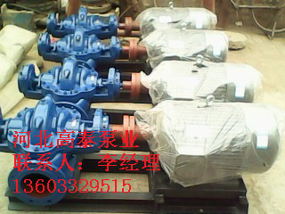 200S95A單級(jí)雙吸離心泵
