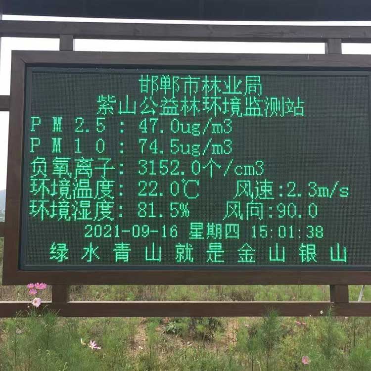 紫山森林環(huán)境監測
